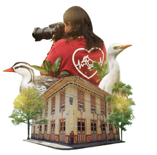 Mujeres líderes en el turismo comunitario de Pijao Quindío