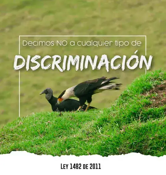 piezas_legales 5 Bio Onda