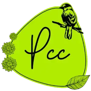 pcc