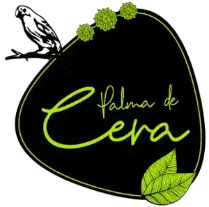 palma_de_cera